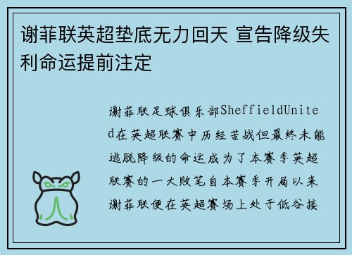 谢菲联英超垫底无力回天 宣告降级失利命运提前注定